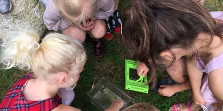 Børn leger med spændende ting i græsset
