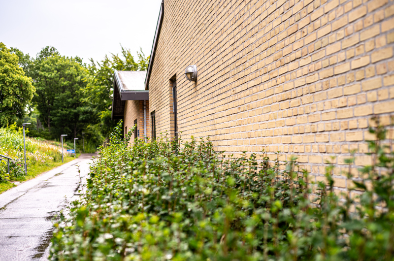 Sabro-Korsvejskolen set udefra